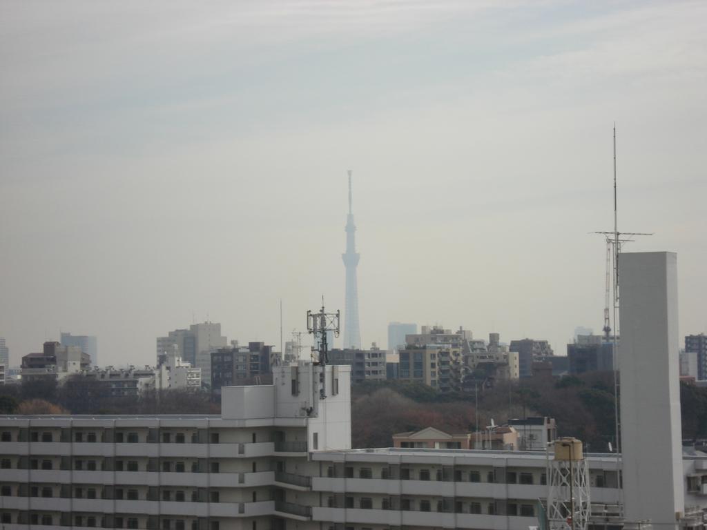 酒店 巢鸭微笑酒店 2*